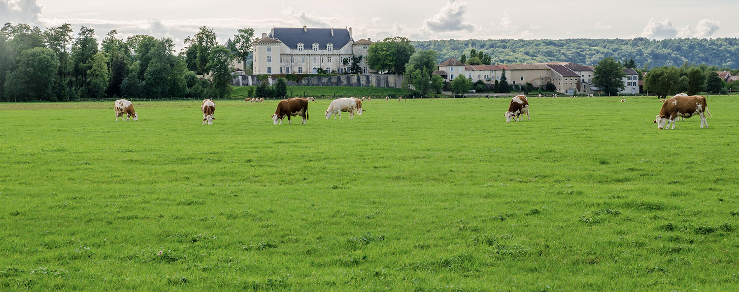 Chateau de Montbras